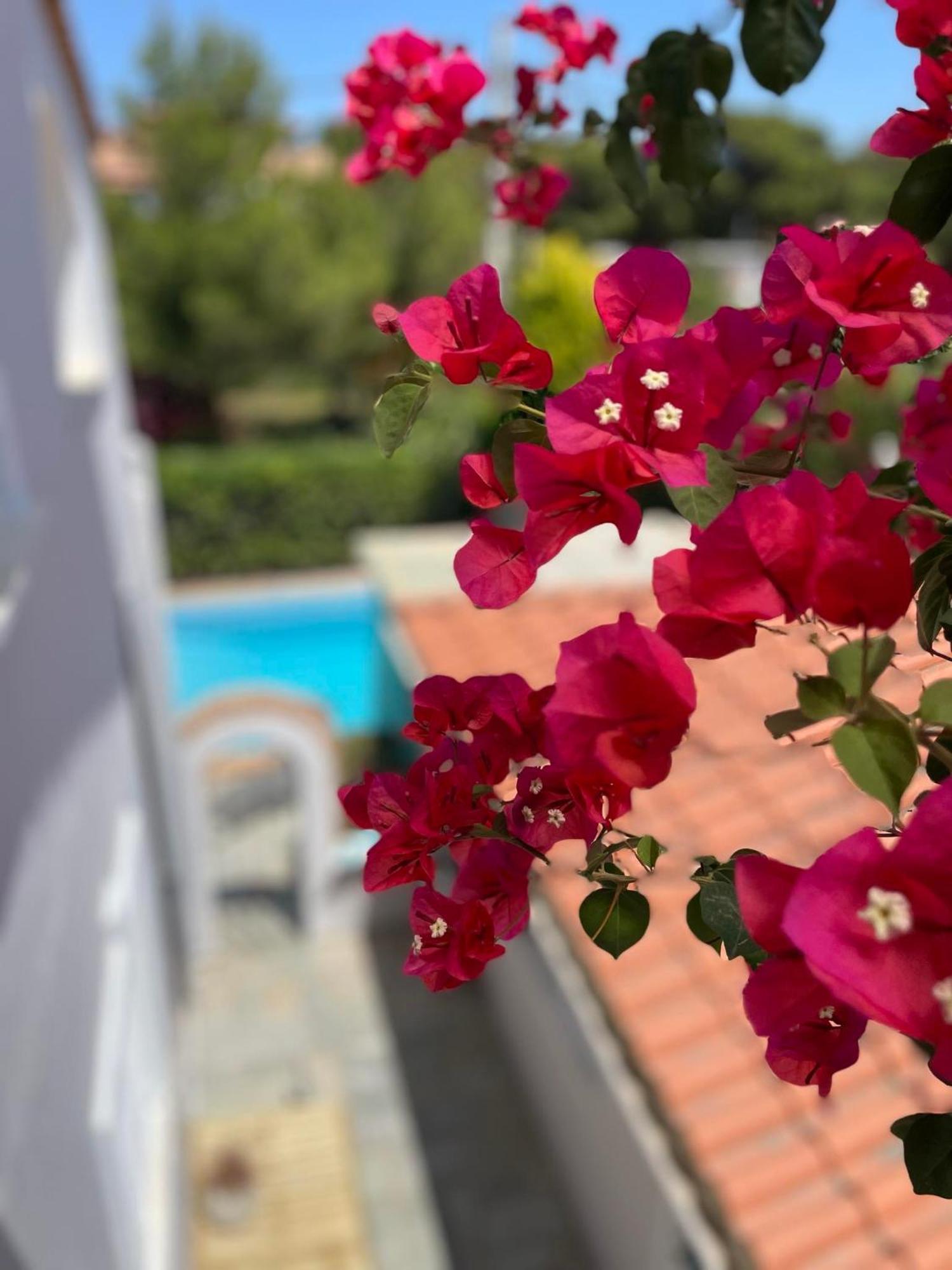 Thepoolhouse Artemida Holiday home *